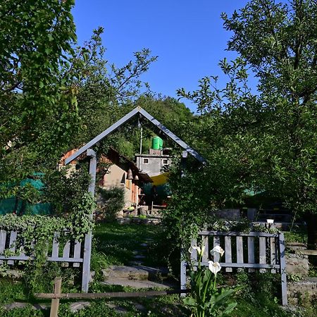 Himalayan Mud Resort كاسول المظهر الخارجي الصورة
