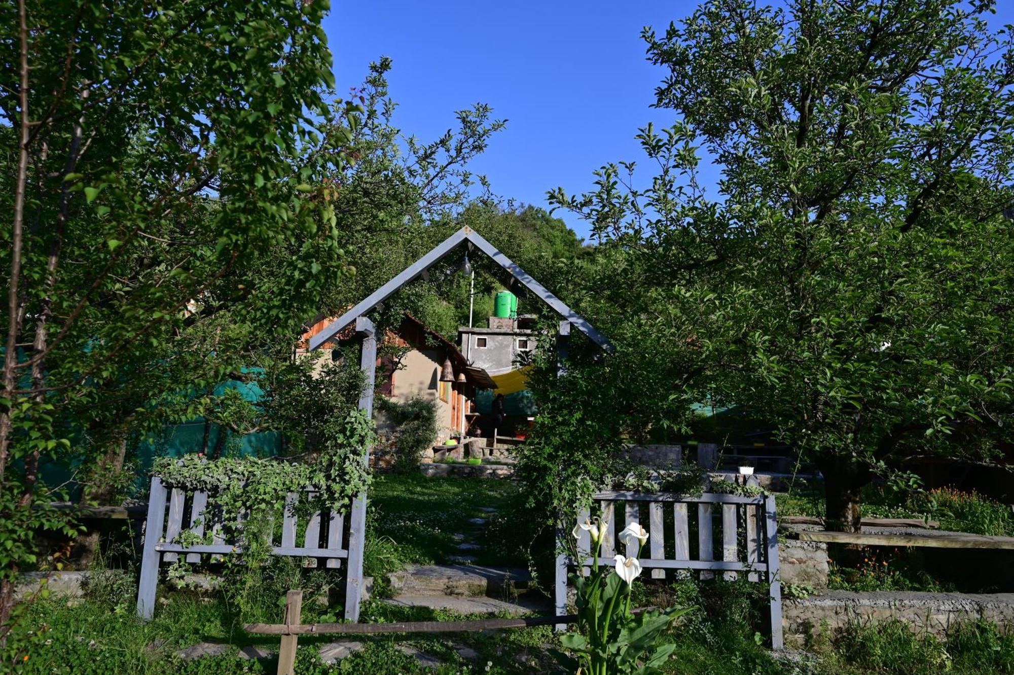 Himalayan Mud Resort كاسول المظهر الخارجي الصورة