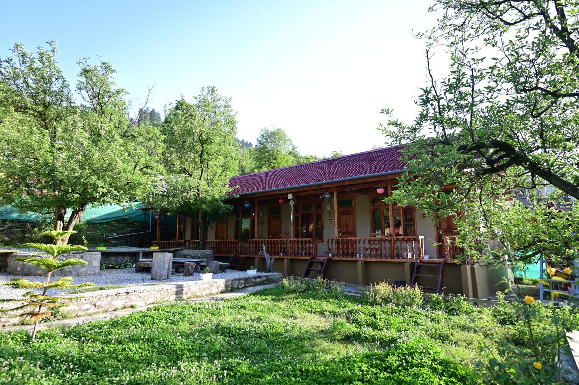 Himalayan Mud Resort كاسول المظهر الخارجي الصورة
